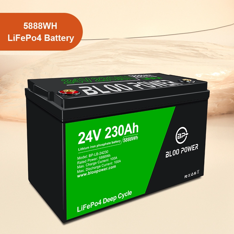 Bloopower 12 24 Volt Li-ion Li Ion Cell Batteries Pack for Wind Power System Solar Street Light LED Lighting Storage