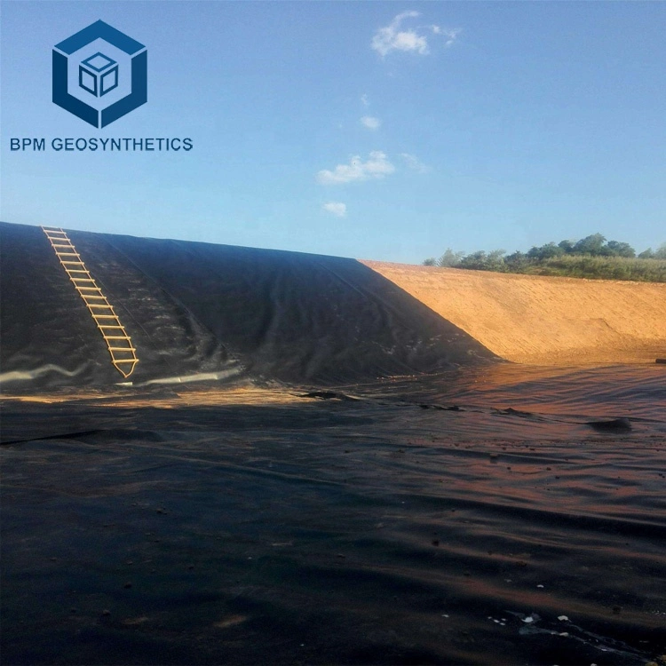 0.5mm 0.75mm 1.0mm 1.5mm 2.0mm White Black Green Blue Smooth Textured HDPE Waterproof Geomembrane for Dam Liner in Kenya Fish Farm Shrimp Pond Liner