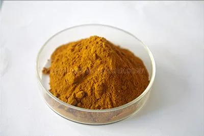 La pureza del extracto de raíz / Astragaloside astrágalo IV / Astragaloside polvo /CAS 84687-43-4