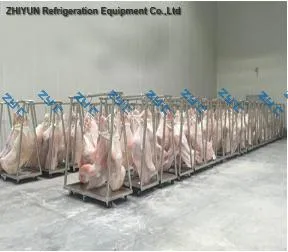 Cooling System Refrigerated Cold Storage Room for Low Temperature Food