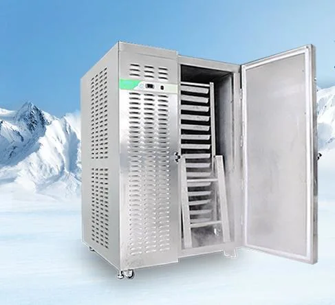 Cheap Mobile Chicken Buffalo Meat Pastry Fridge Blast Freezer in Sri Lanka