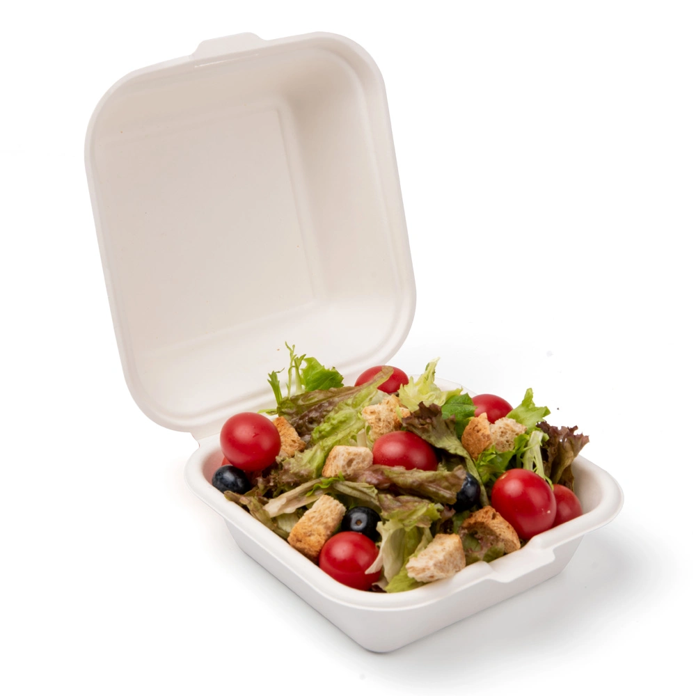 Eco Food Packing Biodegradable Disposable Sugarcane Clamshell Box Baggase Paper Pulp Tableware