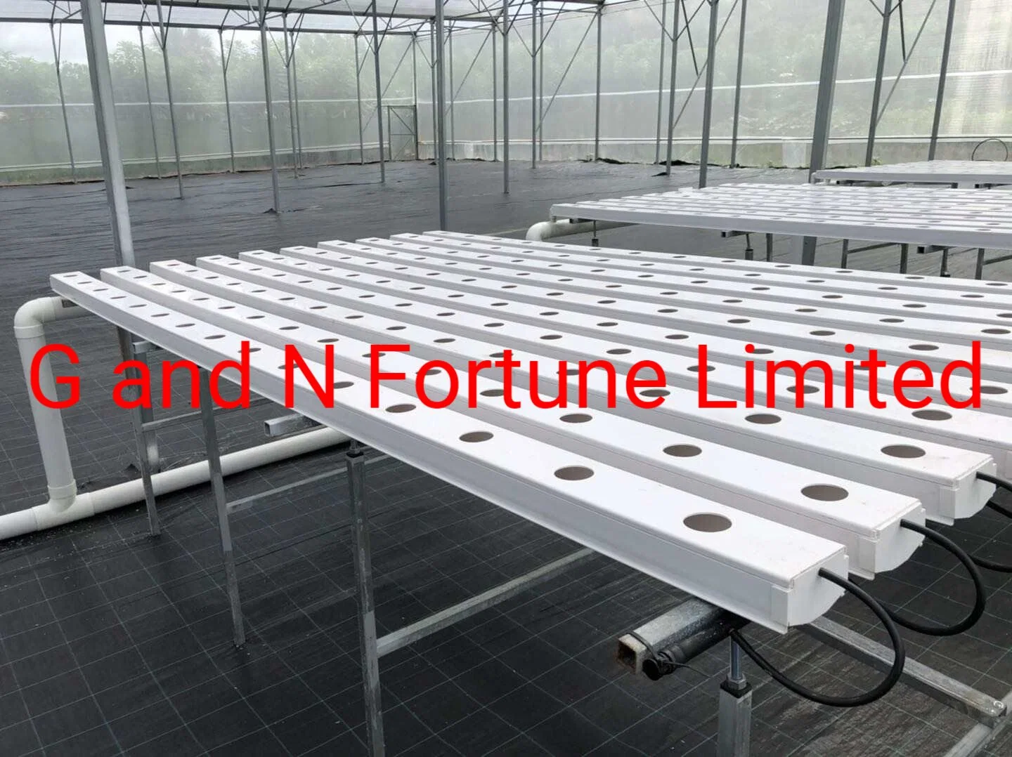 Nft Channel Vertical Farming Vegetables Hydroponic Growing Systems Price 5mm Single Layer Tempered Glass Greenhouse on Sale