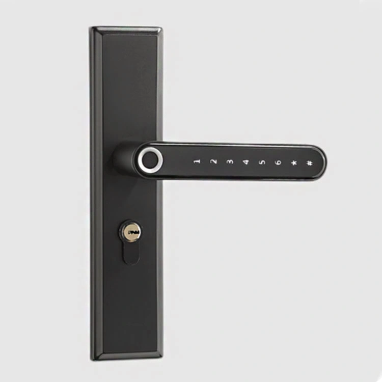 Black Double Fingerprint Door Lock Biometrics Entry Tt Lock APP Remote Control