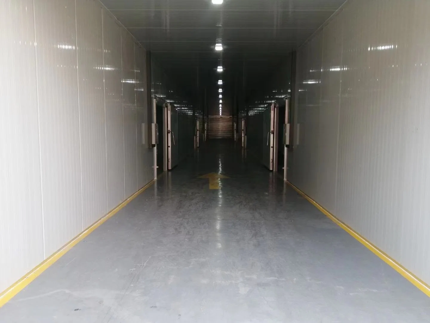 Cold Storage Manufacturer Low Price High quality/High cost performance  Mini Frozen Cold Storage/Cold Room for Meat and Fish