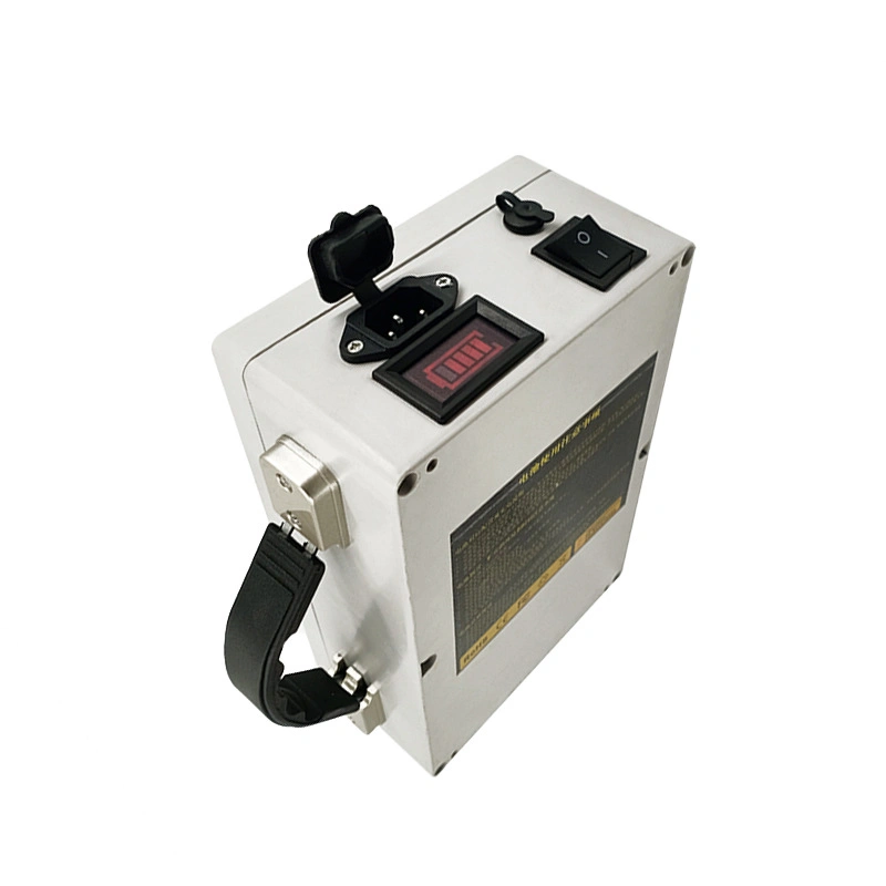 Deep Cycle with BMS for Water-Pump/Agv Car/Inverter/Power-Tool/Car/UPS 12V 30ah LiFePO4 Power Battery