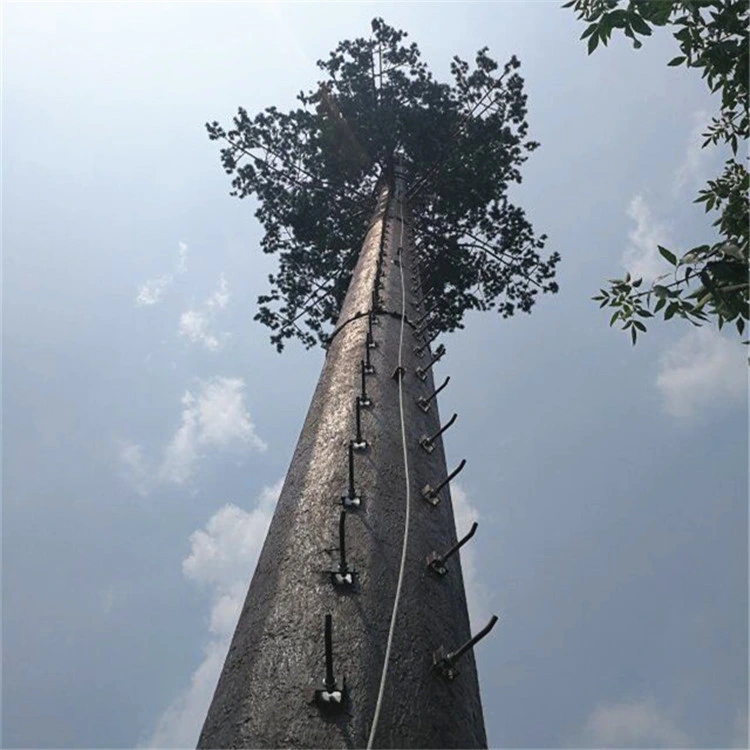 Tubo de acero de Pino de la torre de antena monopolo de 100 pies de Radio y Televisión móvil inalámbrica MW camuflado de la torre de árbol de comunicaciones