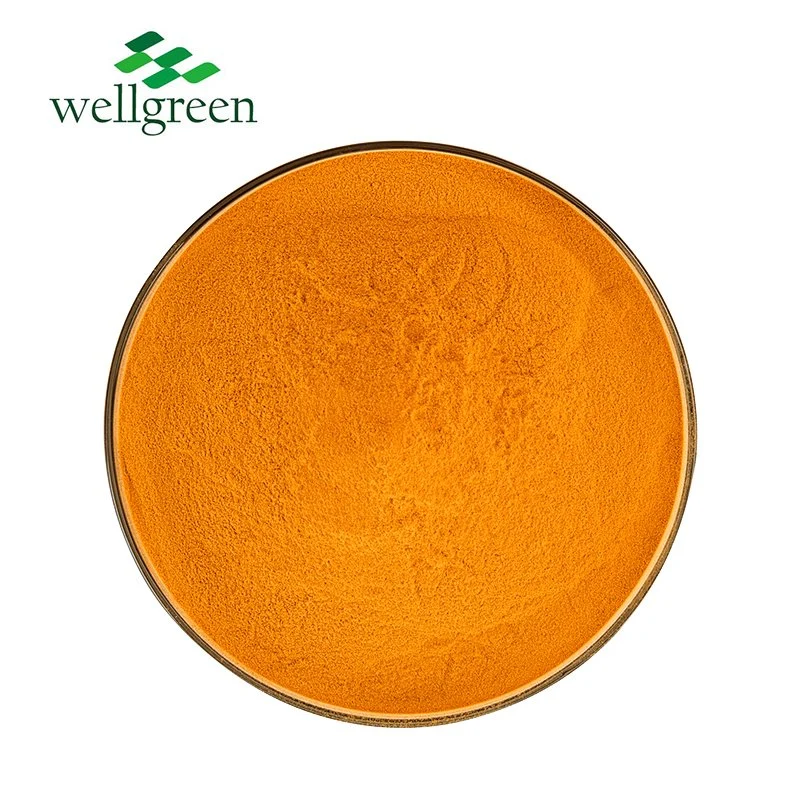 Food Grade Riboflavin Low Price Health Food CAS 83-88-5 B2 Bulk Vitamin B2 Powder