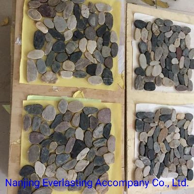 Backmeshed Natural Sliced River Stone Pebbles Shower Tiles