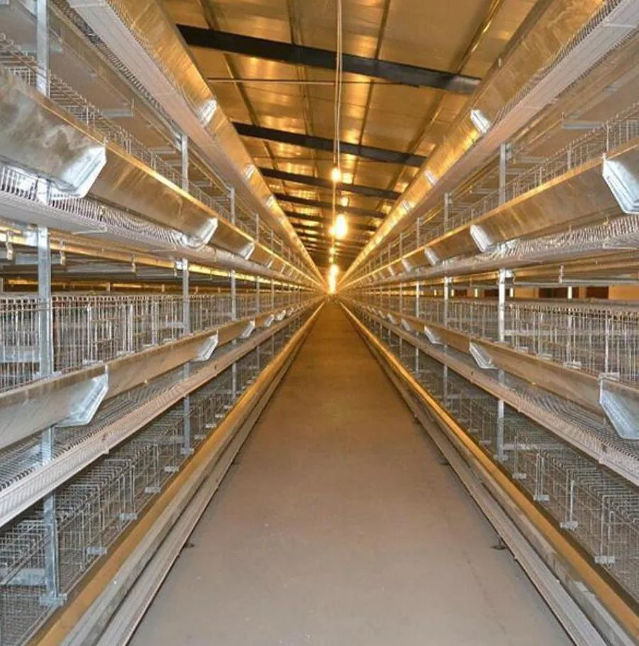 Husbanfry Animal Poultry Farm Chicken Equipment/Livestock Machinery/Equipment/Hot Galvanized Automatic Chicken Farm Poultry Cage /Battery Layer Cages for Farm