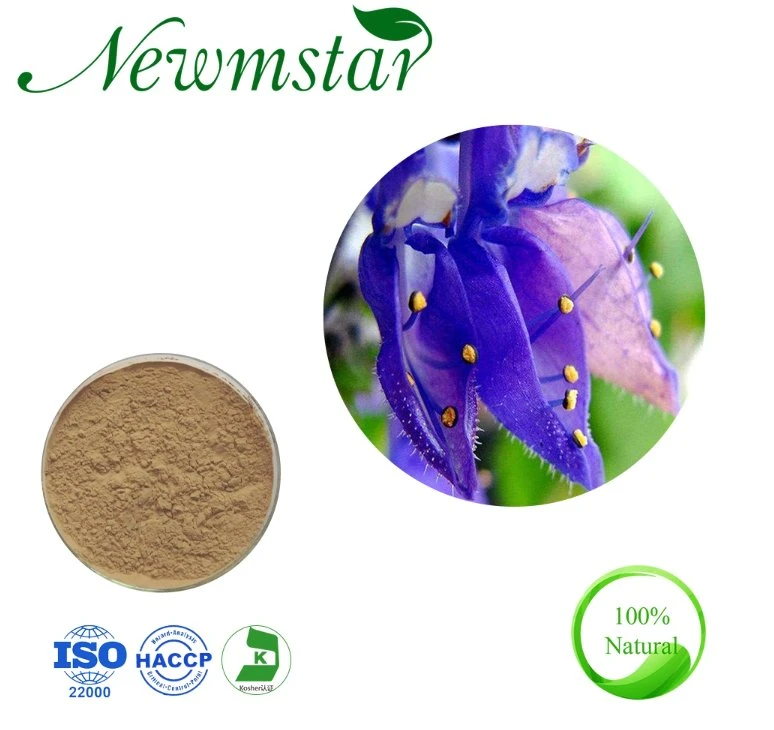 Aprovisionamento de fábrica de plantas naturais extraia 10-98% Forskolin Coleus Forskohlii extracto com amostra grátis&amp;Qualidade Superior