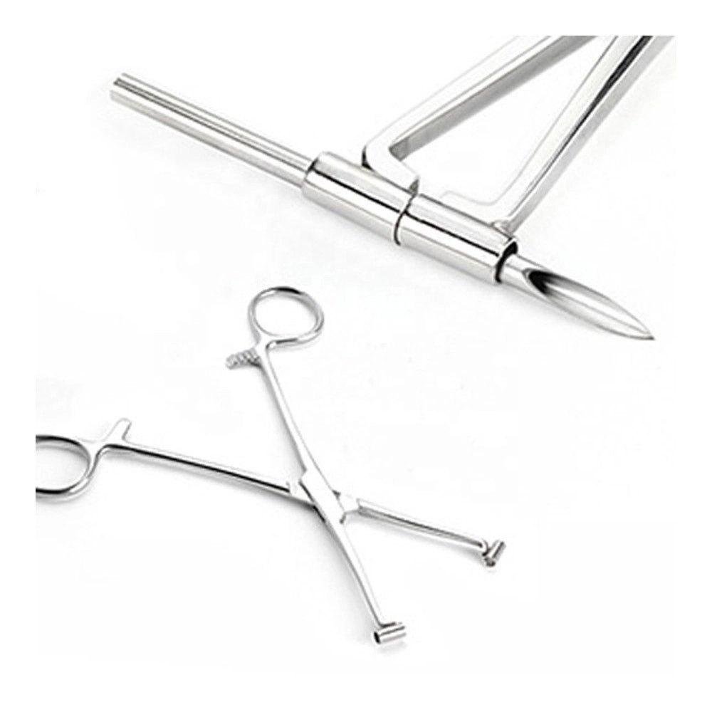 Septum Forceps de acero inoxidable 15,5 cm cuerpo cuerpo cuerpo cuerpo cuerpo de nariz de Navel Pinzas para perforación de orejas / alicates / Forceps resistente al óxido al por mayor Herramienta de perforación