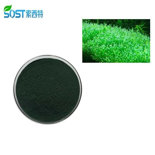 خدمة OEM ملحق الحمية Chlorella vulgaris Spirulina Powder