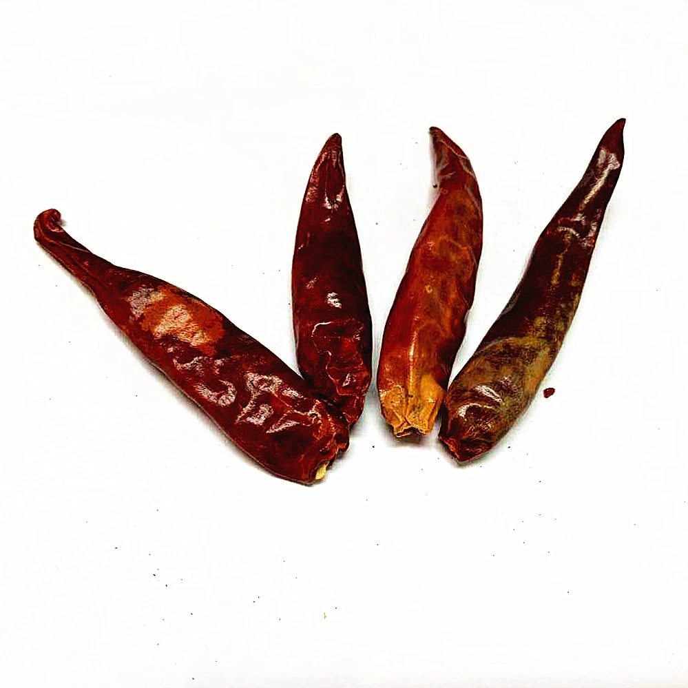 Dehydrated Chilli Whole Factory Price with Best Quality