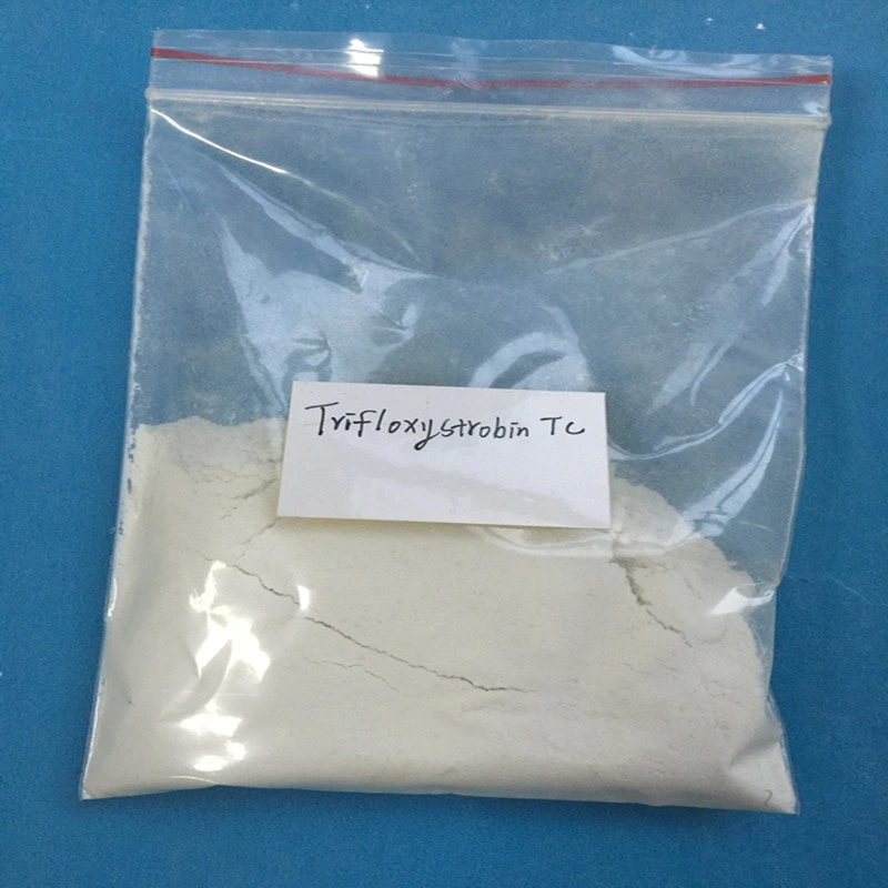 Hot Sale High quality/High cost performance  Fungicide Trifloxystrobin for Agriculture Use