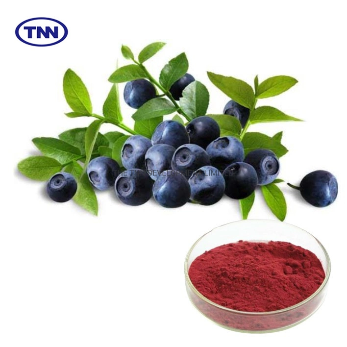 25% Anthocyanidins 36% Anthocyanosides Bilberry Herbal Extract Bulk Продажа Bilberry Извлеките