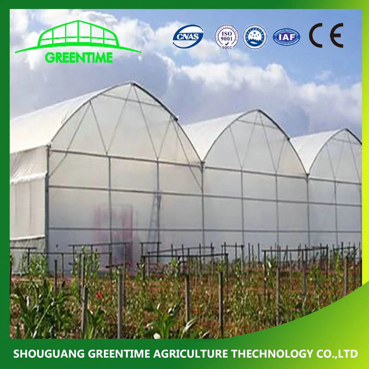 Hot Sale Arch Type PE/Po Film Agricultural Greenhouse for Tomato/ Pepper Planting