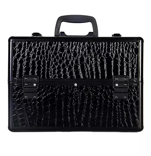 Aeshii Professional and Smooth and Textured Black Travel Aluminum and Hard Large Capacity Cosmetic Case