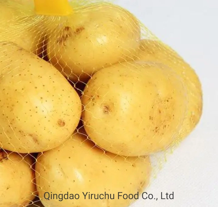 Long Shape Chinese Fresh Potato for Import/Export in Low Price