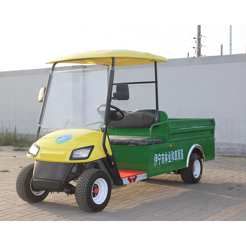 China Wholesale/Supplier Cheap 2 Seat Electric Golf Car with Cargo Bucket