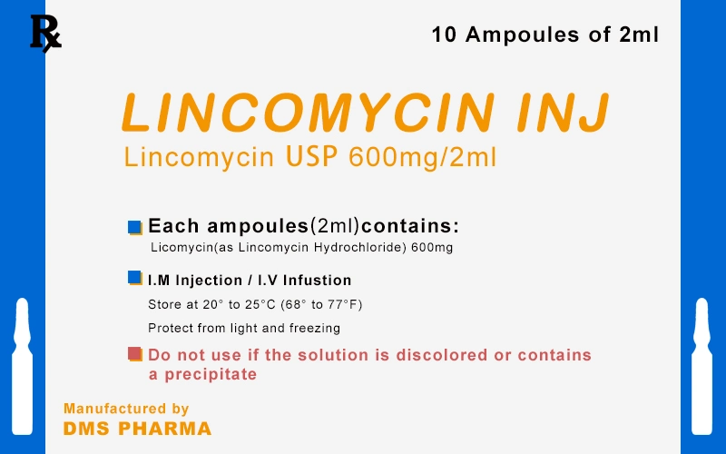 Western Medicine Lincomycin Hydrochloride for Human Use