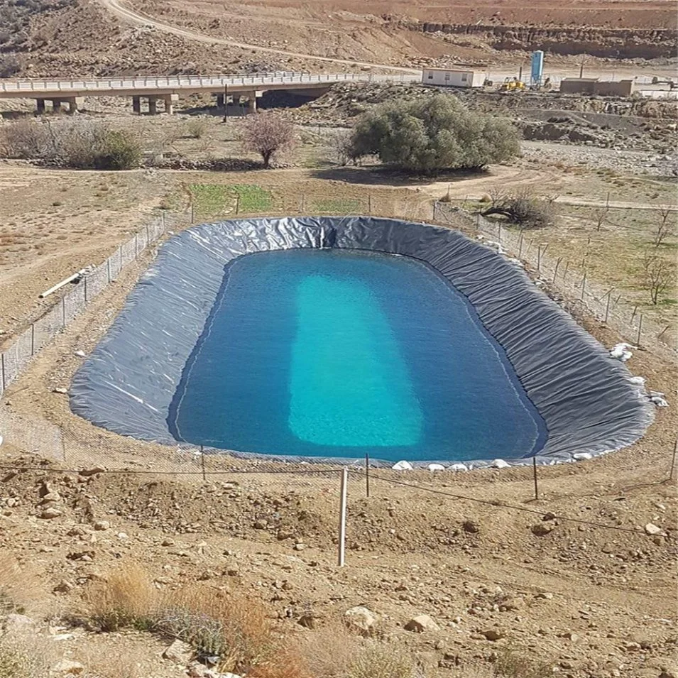 Waterproof UV Resistance Ted Bakerblue Lagoon Plastic Liner HDPE Geomembrane Pond Liner