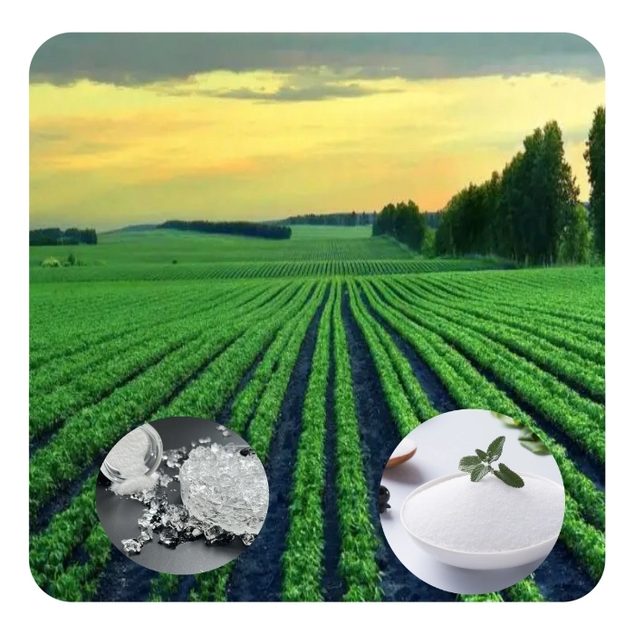 Water Absorbing Crystals Agricultural Sap Potassium Polyacrylate Hydrogel for Plants