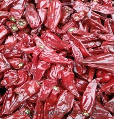 China&prime; S Best-Selling and Hottest Red Pepper