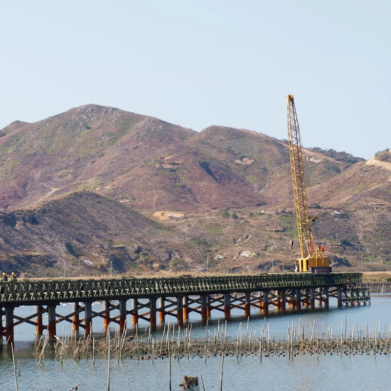 Professional Prefabricated Steel Bridge for Sale