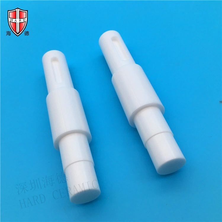 Strength Merchants Zirconia Ceramic Plunger Processing Pump with Wear Resistant Corrosion Resistant Impact Piston Rod