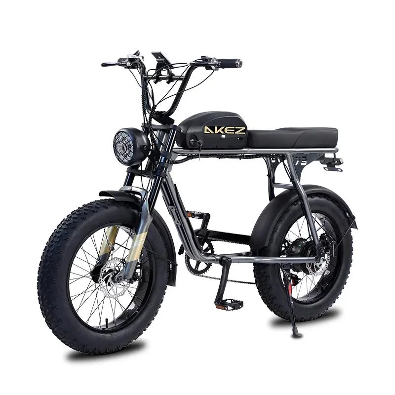 2023 New Super Long Range Fat Tire Chopper Electric Bike City Mountain E Bike