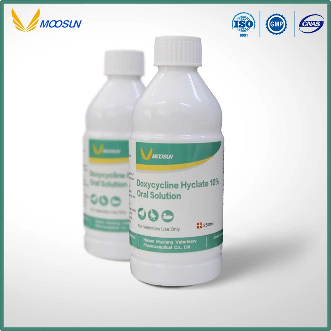 Veterinary Medicine Florfenicol Oral Solution 10% (Animals Use) ISO GMP