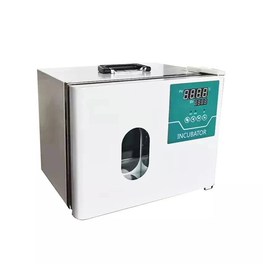 Laboratory Thermostatic Incubator Constant Temperature Small Incubator 9.2 Liter and 12 Liter with Glass Window