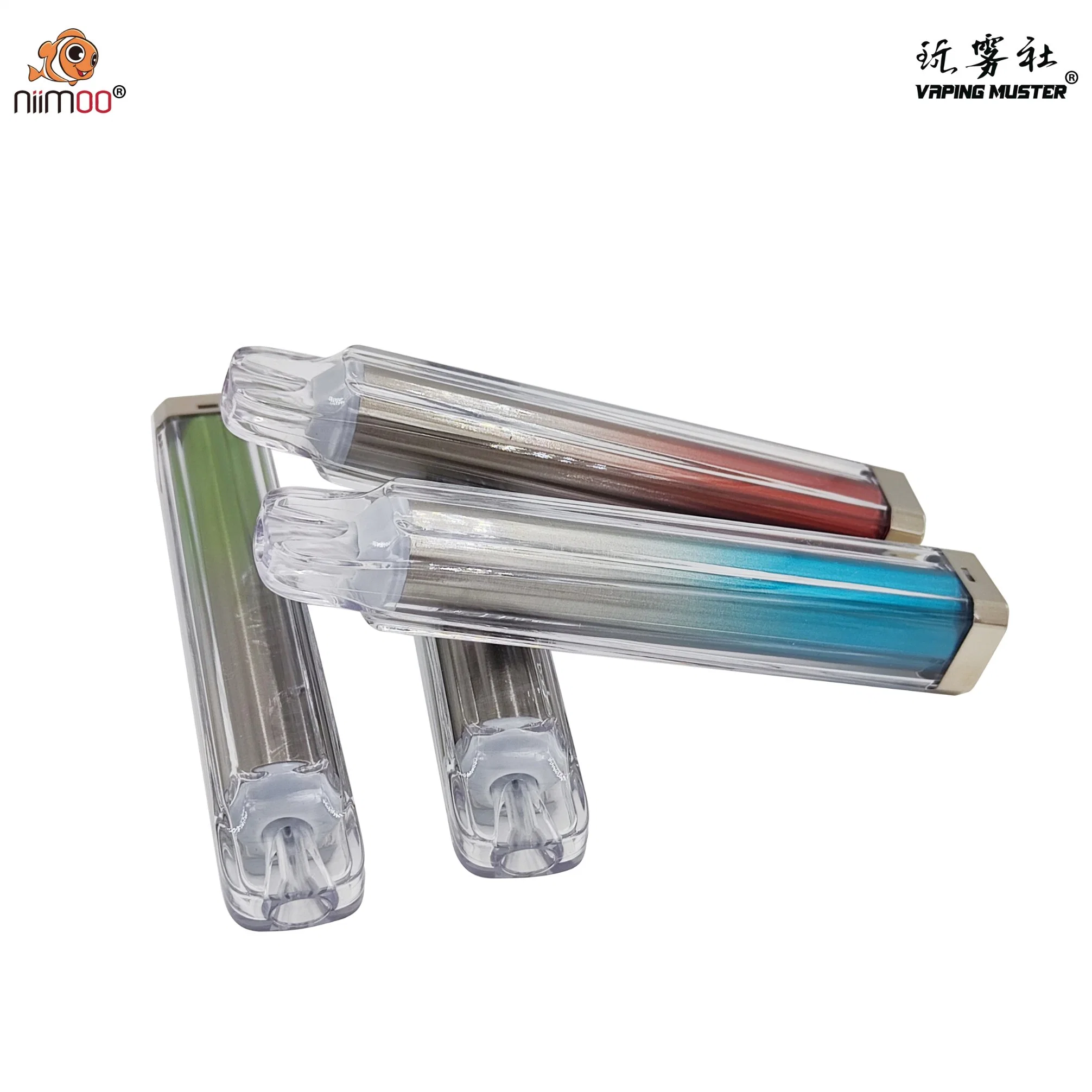 Niimoo Wholesale/Supplier Electronic Cigarette Vaporizer with 1000 Puffs Mesh Coil Crystal Disposable/Chargeable Vape