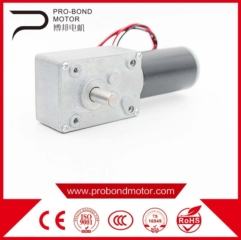 High Precision Micro Brushless 12V Pm DC Planetary Gear Motor for Electric Bike Conversion Kit