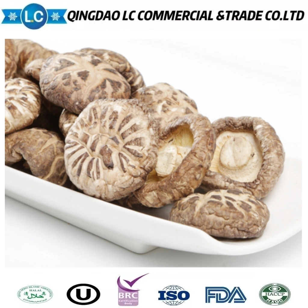 Popular fresco congelado Shiitake setas con nutrientes