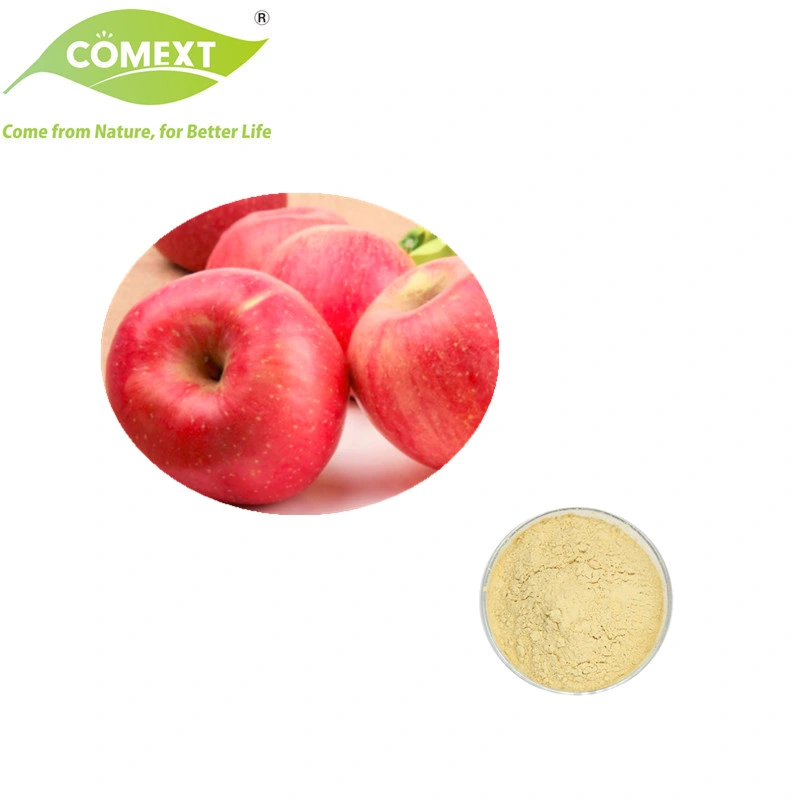 Comext Halal Kشر 100% جودة عالية الجودة أفضل سعر مجاني عيّنات Apple Fruit Juice Powder