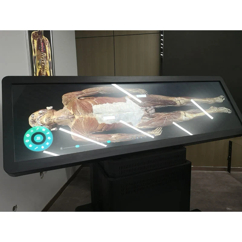 High quality/High cost performance New for University Anatomy Dissection 3D Body Virtual Autopsy Table