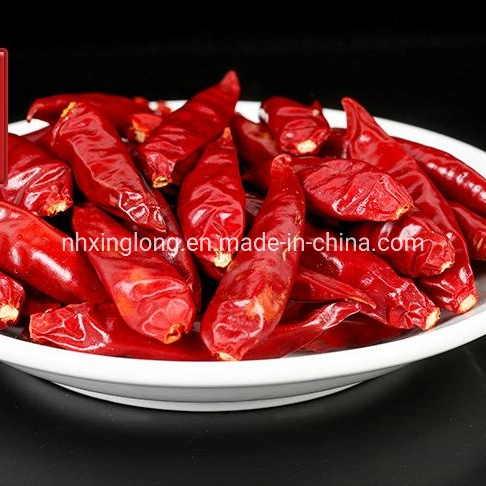 Premium Qualität Trocken Rot Tientsin Chili Sanying Chili Japones Chile /Rote Cayennepfeffer/Tianjin Chili