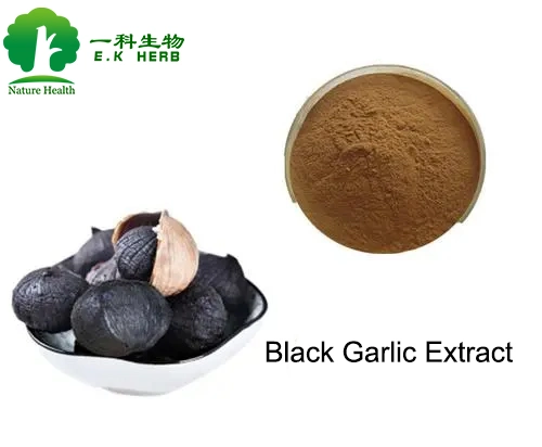 E. K Herb Manufacturer 100% Natural Organic Garlic Extract Black Garlic Powder Polyphenols Water-Soluble Premium Black Garlic Extract