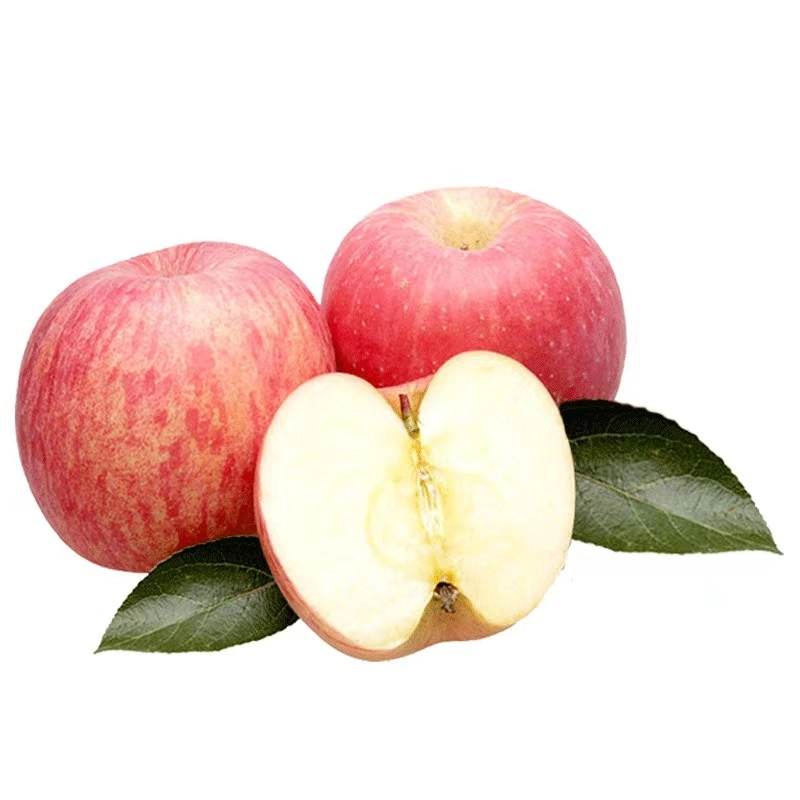 Fresh Full Red FUJI Apple Fresh Food New Corp Fruit Sale