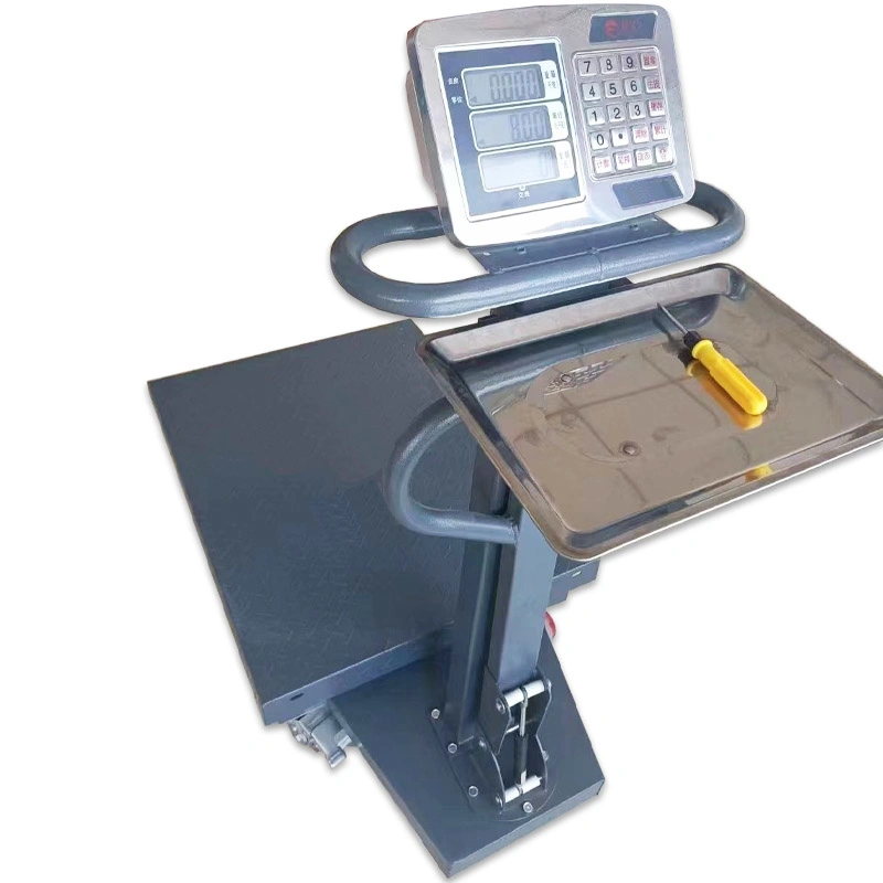 Ts-02 Large Range 1000kg Digital Weighing Scale Stainless Steel and Carbon Steel Scale