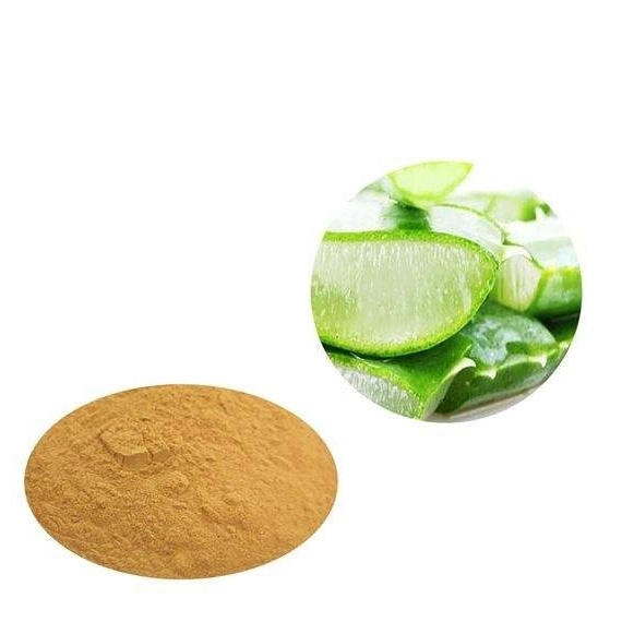 CAS No. 85507-69-3 Aloe Vera Extract 50% 95% Aloe Powder