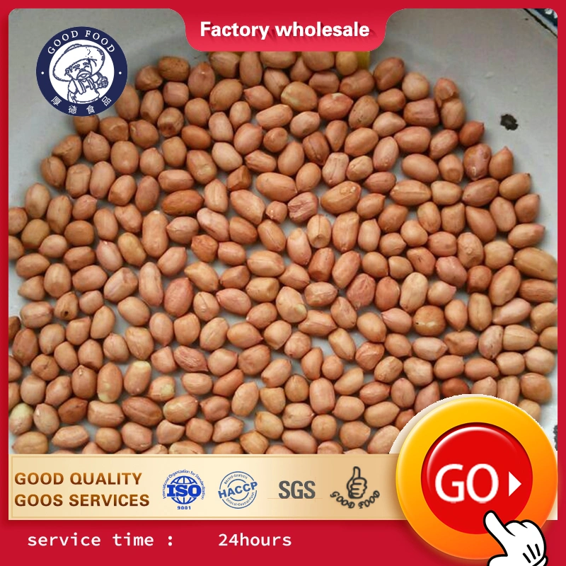 Factory Outlet Store 2020 Crop Peanut Kernels/Peanut Kernels with Red Skin/ Raw Peanuts Kernel