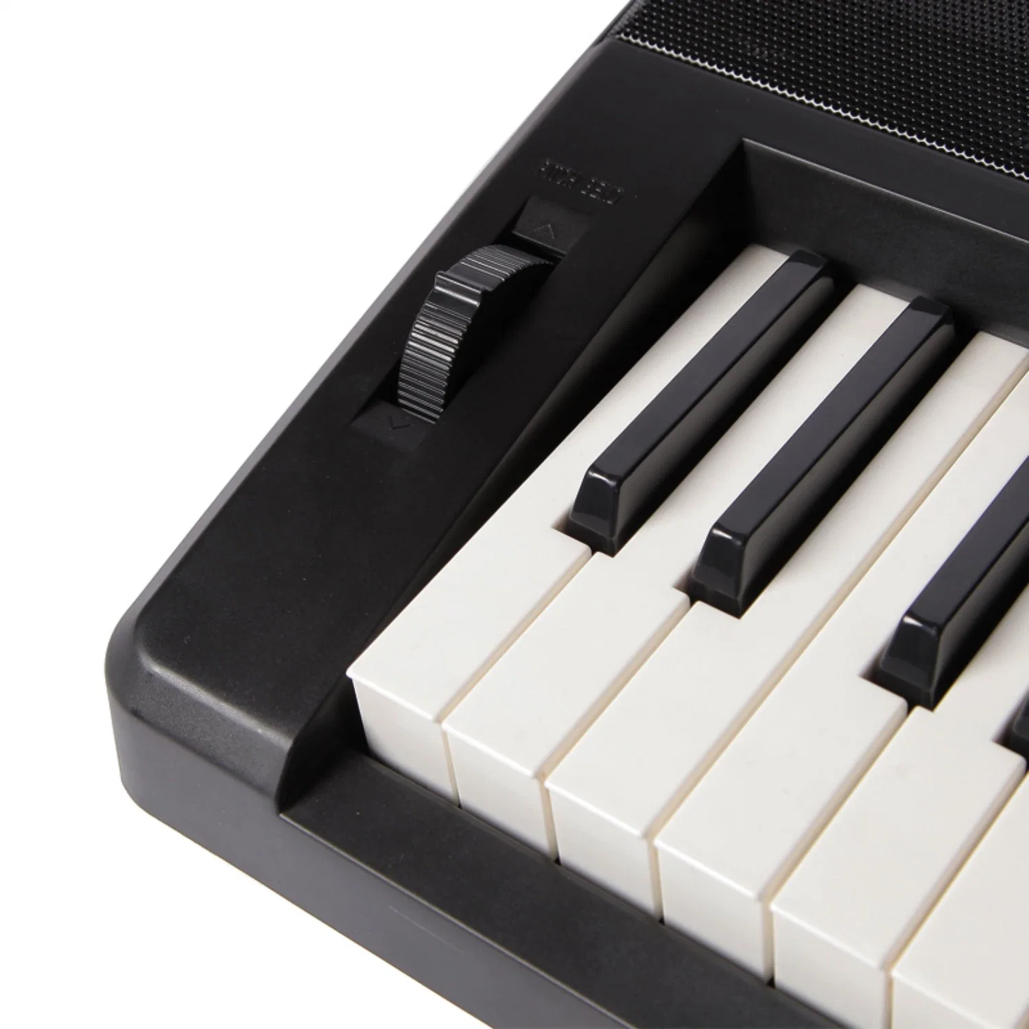 61 Keys Electronic Organ Musical Instrument with 300 Rhythm