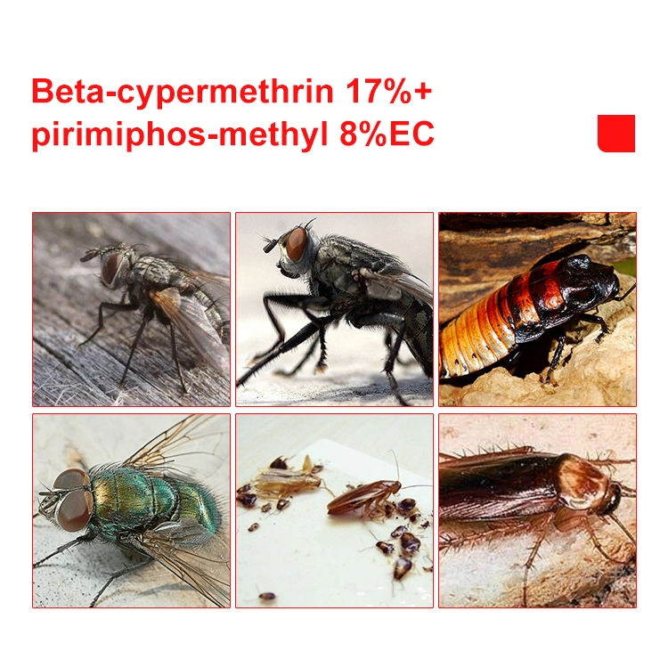 Quick Acting Insecticide Pesticides Beta-Cypermethrin 17%+Pirimiphos-Methyl 8%Ec