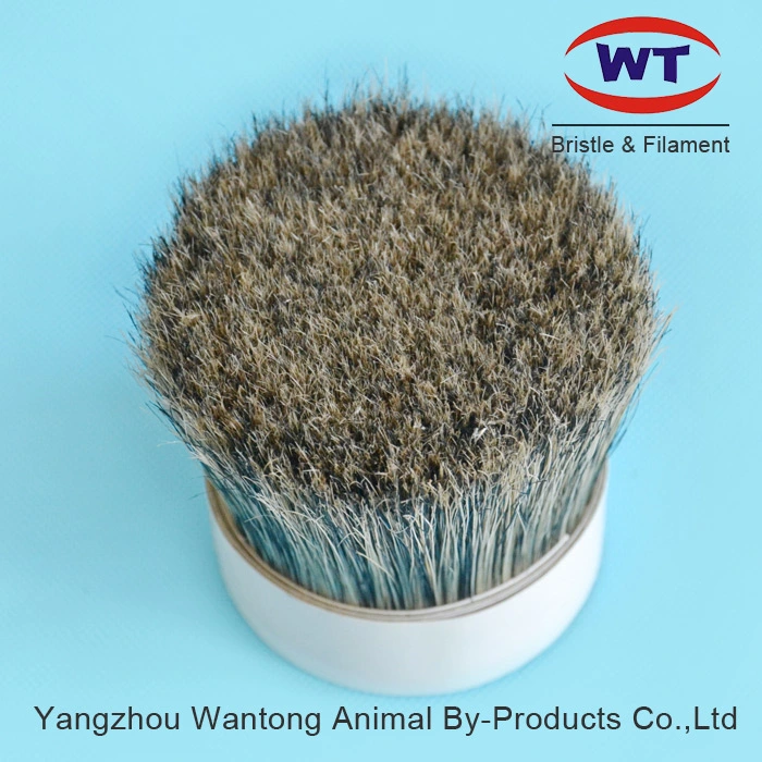 Top Quality Chungking 90tops% Natural Pure Grey Bristles