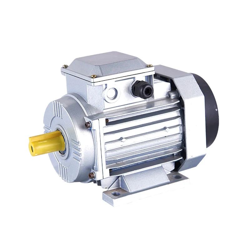 3 Phase Aluminum Shell Housing Induction AC Electric Motor