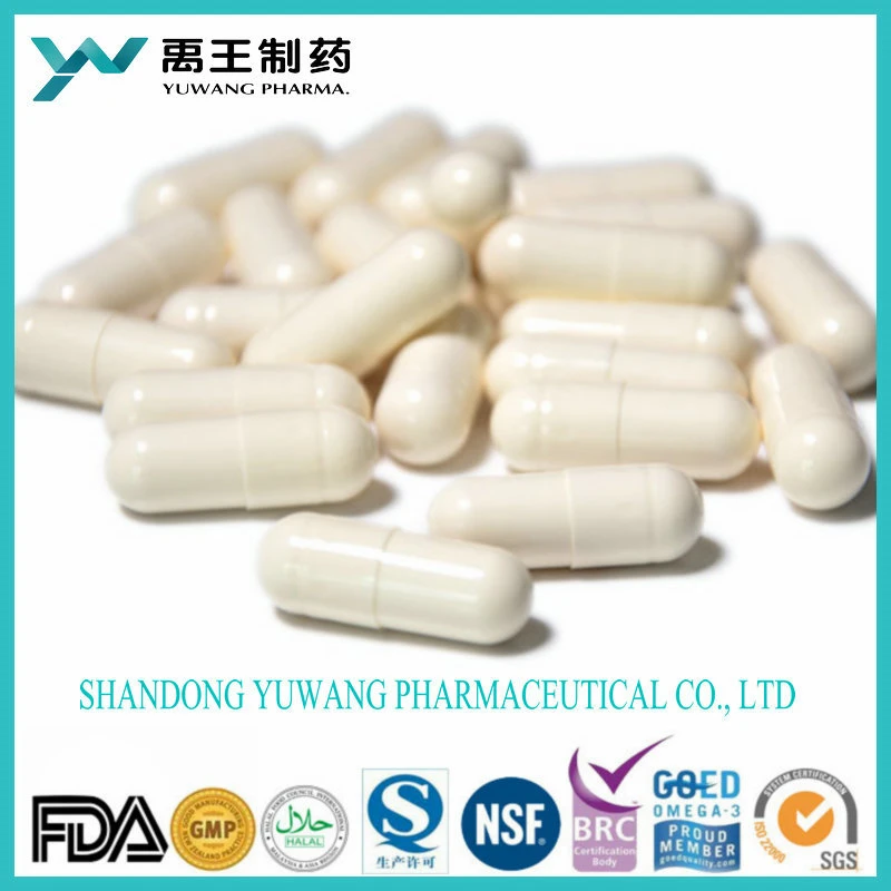 Brc/NSF Yuwang OEM Health Food Multi Plant Hard Capsule 1000mg in Bulk or in Bottle