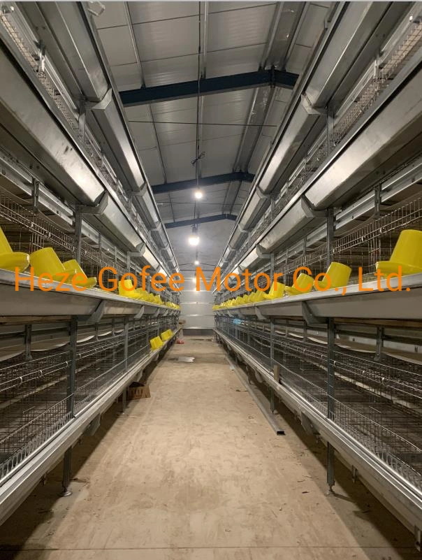 Gofee Verzinkter 3-8 Tier Hervorragender Käfig Für Geflügel-Farm-Ausrüstung Pflege und Leistung von Birds Hens